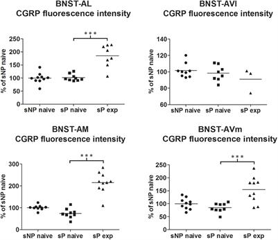 Predisposition to Alcohol Drinking and Alcohol Consumption Alter Expression of Calcitonin Gene-Related Peptide, Neuropeptide Y, and Microglia in Bed Nucleus of Stria Terminalis in a Subnucleus-Specific Manner